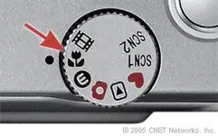 L4_macro_icon.webp
