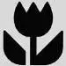 Macro-icon.webp