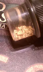 Bear River Gold 2012.webp Bear River Gold 2012.webp