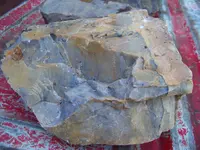 100_0689.webp