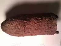 IMG_20120908_164659.webp