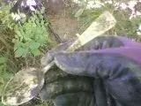 0709121046.webp