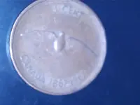 120713175559826593.webp