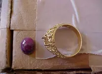 goldring1.webp