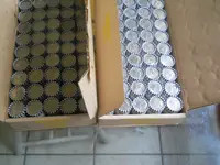 DSCN5184.webp
