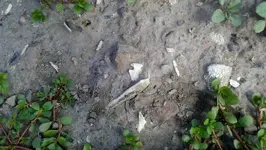 2012-07-23_16-39-32_6 (1280x722).webp