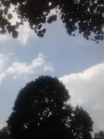 sky1.webp sky1.webp