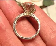 bling resized.webp
