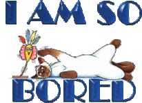 image00444.gif cat.gif