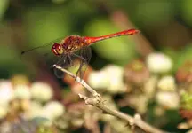 20120801_60.webp