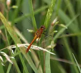 20120805_15.webp