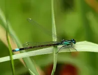 20120808_6.webp