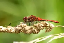 20120808_20.webp