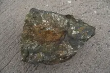DSCF2851.webp
