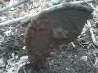 2012-08-13 08.39.34.webp