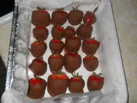 DSCN5437.webp