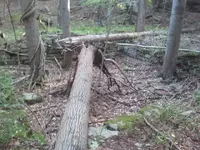 2012-08-13 07.21.42.webp
