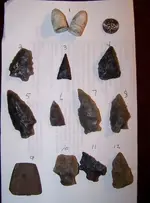 100_3900.webp