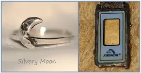 silvery moon.webp