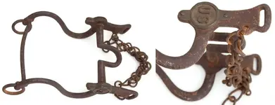 bit bridle.webp