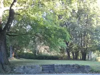 foundation 9-20-12.webp