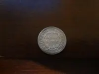 Metal Detecting 433.webp