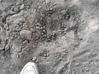 ForumRunner_20120813_141750.webp