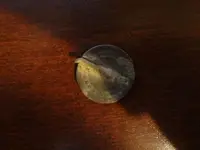 Metal Detecting 432.webp