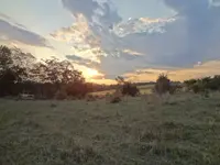 Metal Detecting 423.webp