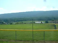 Picture 031.webp