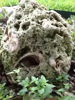 image-709112407.webp