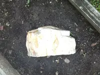 image-494106182.webp