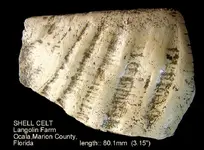shell_celt_Marion.webp shell_celt_Marion.webp