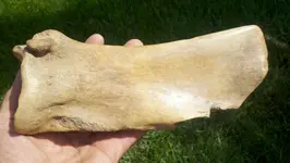2012-08-13_12-43-40_861 (1280x722).webp