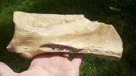 2012-08-13_12-45-01_11 (1280x722).webp
