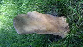 2012-08-13_16-48-24_346 (1280x722).webp