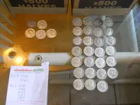 DSCN5280.webp