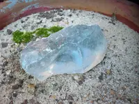 100_1558.webp