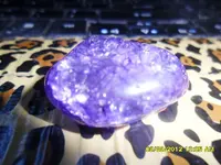 SAM_0193.webp
