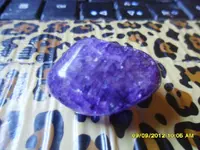 SAM_0195.webp