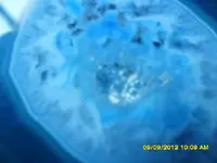 SAM_0200.webp