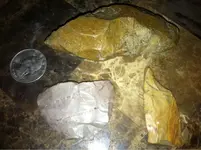 image-2516596887.webp