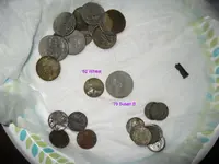 81312.webp