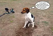 Digger.webp