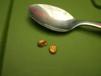 DSCF2837.webp