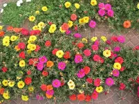 folder 3 004.webp
