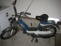 moped1.webp