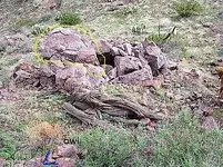 nm#3 248.webp