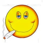 dont_worry_get_stoned.webp