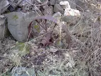 Brians Phone 032.webp